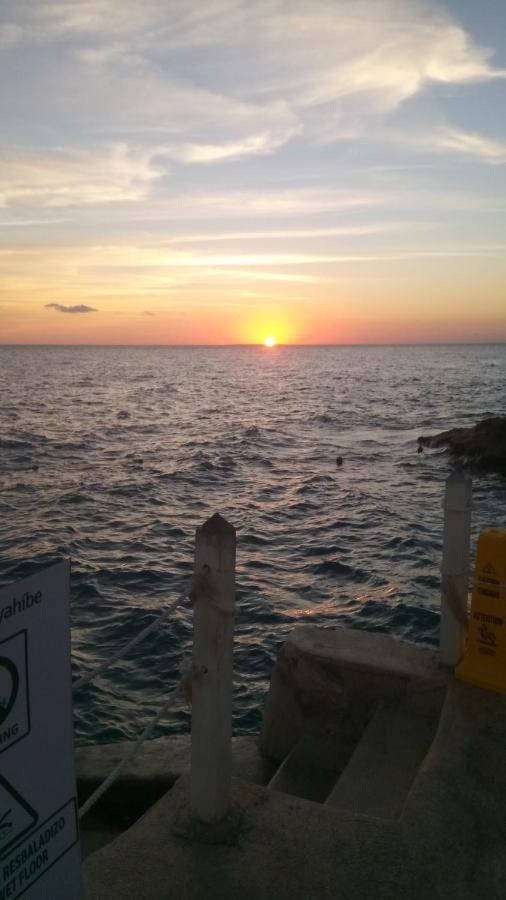 Habitacion En Complejo Caribe Dominicus Solo Adultos 巴亚希贝 外观 照片